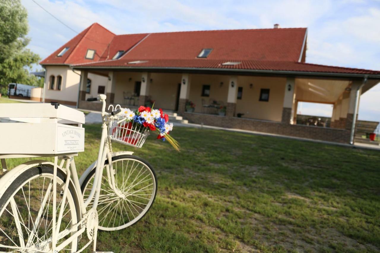 Tiszavilag Pihenohaz Otel Tiszakécske Dış mekan fotoğraf